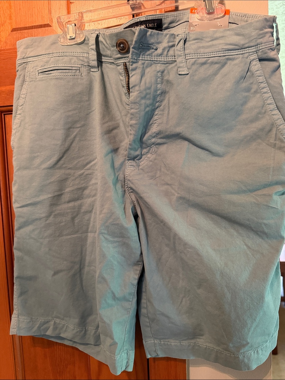 American Eagle Outfitters Green Flat-Front Shorts